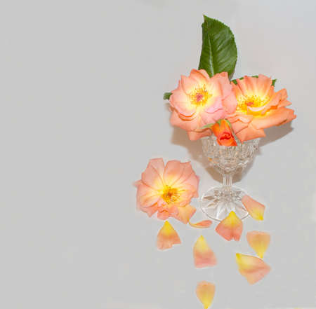 Beautiful orange-pink roses in a crystal glass give a refreshing look to the summer vibes. Minimalist conceptの写真素材