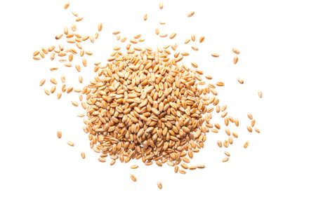 Wheat seeds on white backgroundの写真素材