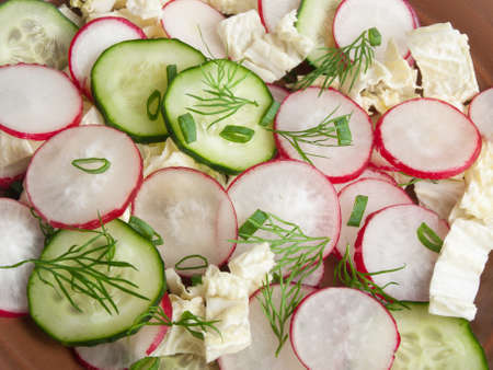 Slices of radish and cucumber in a saladの写真素材