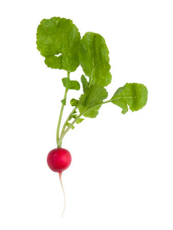 Fresh radish with green leaves isolated on whiteの写真素材
