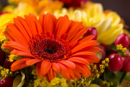 Gerbera flowers blooming beautiful bouquetの写真素材