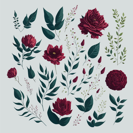 Set Collection of Red Roses, Flower Maroon and Green leaves. Design elements for greeting card and invitation of the wedding, birthday, Valentine's Day, mother's day and other holiday.のイラスト素材