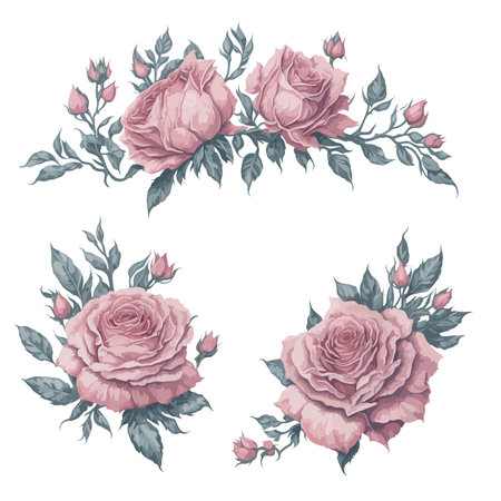 Set of Pink Rose Flower Arrangement Watercolor Illustration.のイラスト素材