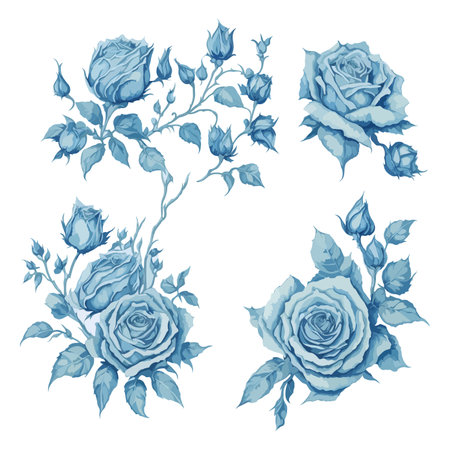 Set of Lightblue Rose Flower Arrangement Watercolor Illustration.のイラスト素材