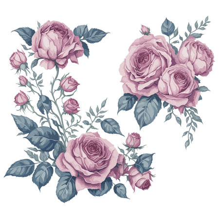 Exquisite Pink Rose Watercolor Floral Arrangement Set.のイラスト素材