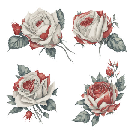 Elegant Red and White Rose Watercolor Floral Collection.のイラスト素材