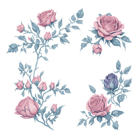 Beautiful Pink Rose Watercolor Floral Illustration Set.のイラスト素材