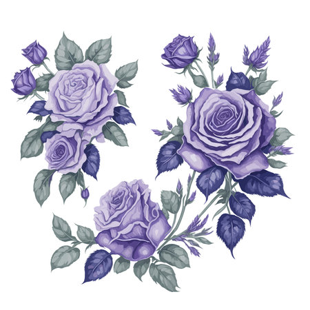 Set of Purple Lavender Rose Flower Arrangement Watercolor Illustration.のイラスト素材
