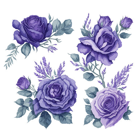 Elegant Purple Lavender Rose Watercolor Floral Collection.のイラスト素材