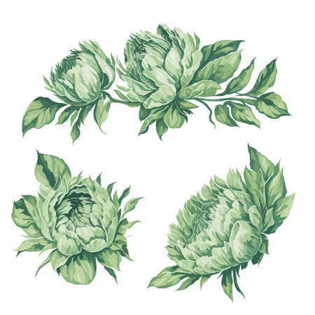 Set of Green Peonies Flower Arrangement Watercolor Illustration.のイラスト素材