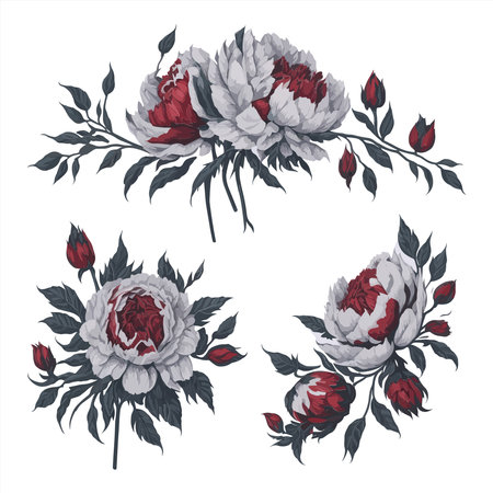 Peonies White Red Watercolor Flower Arrangement Collection.のイラスト素材
