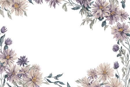 Background Asters Flower Watercolor with White Space for Wedding Invitation Ornament.のイラスト素材