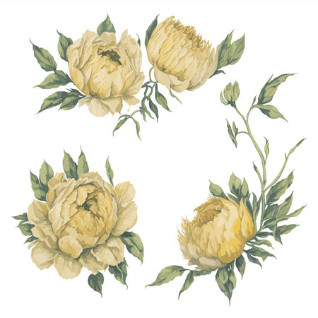Peonies Yellow Watercolor Flower Arrangement Collection.のイラスト素材