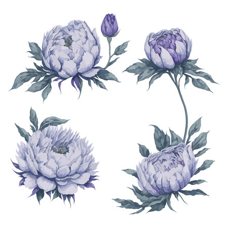 Peonies Purple Lavender Watercolor Flower Arrangement Collection.のイラスト素材