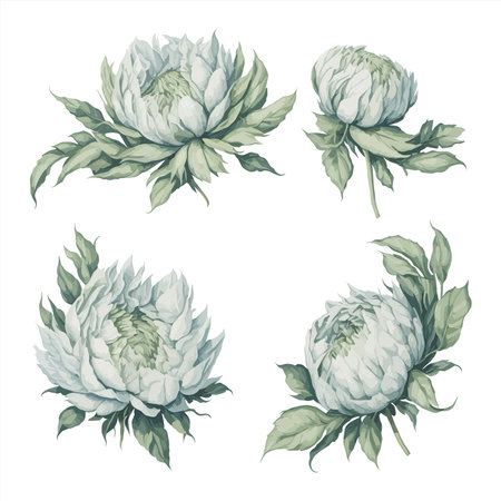 Peonies White Green Watercolor Flower Arrangement Collection.のイラスト素材