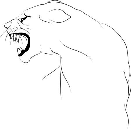 Lionessのイラスト素材