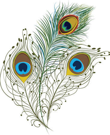 Peacock artのイラスト素材