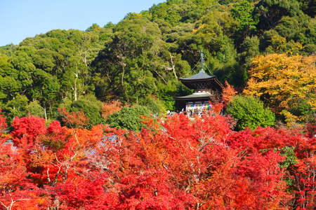 Japanese Garden at the Eikando Temple, Kyoto City, Kyoto Pref., Japan