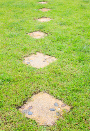 flower Pattern on Stone path into the green grass gardenの写真素材