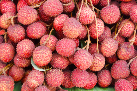 Fresh lychees  fruit (Litchi chinensis)の写真素材