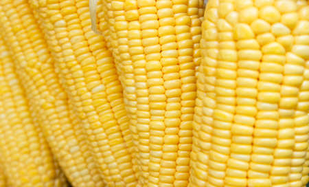closeup of raw corn