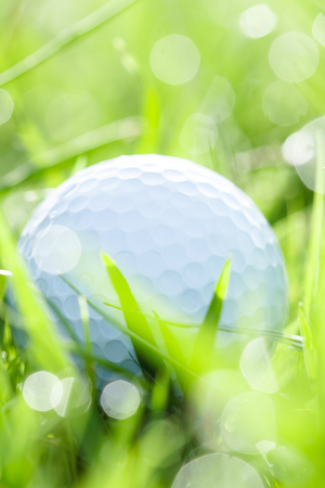 close up of golf ball on grass with bokeh backgroundの写真素材