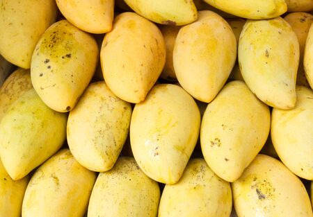 Yellow mango fruit at thai marketの写真素材