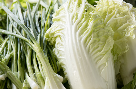 closeup spring onion and napa cabbageの写真素材