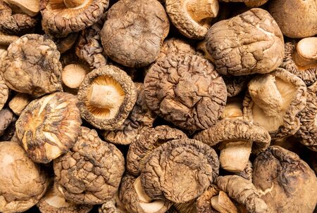 top view of dried shiitake mushrooms for backgroundの写真素材
