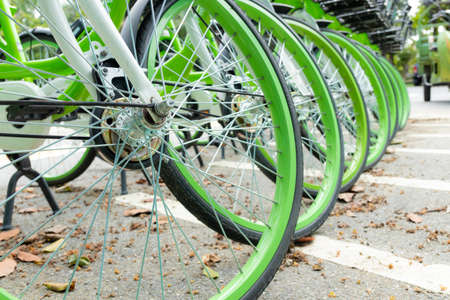 row of front bicycle hub and spokesの写真素材