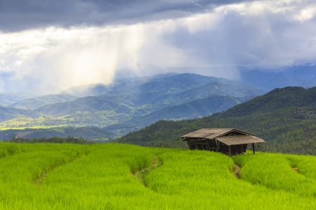 Fresh green rice terrace field and cloudy sky in rainy season, at Baan Pa Bong Pieng, northern of Chiang Mai, Thailand.の写真素材