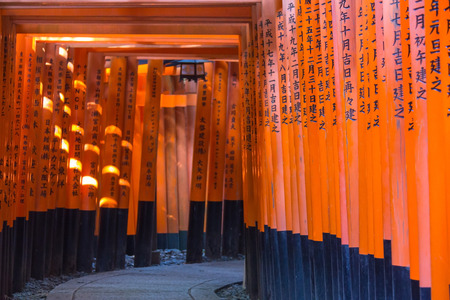 KYOTO, JAPAN â AUGUST 4, 2015 : Thousand of torii gates (Senbon Torii) at Fushimi Inari Taisha Shrine. A famous historic site and tourist destination in Kyoto, Japan.のeditorial素材