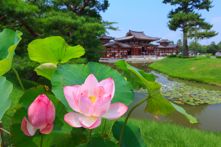 KYOTO, JAPAN â AUGUST 3, 2015 : Byodo-in, Beautiful Japanese style temple in summer season. This is the very famous Tourist attraction in Uji city near Kyoto, Japan.のeditorial素材