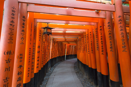 KYOTO, JAPAN â AUGUST 4, 2015 : Thousand of torii gates (Senbon Torii) at Fushimi Inari Taisha Shrine. A famous historic site and tourist destination in Kyoto, Japan.のeditorial素材