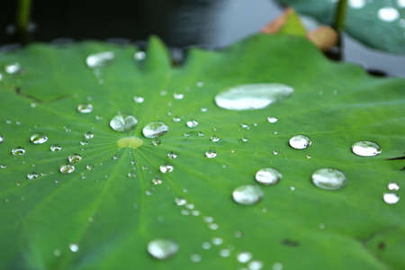 reflexionの写真素材