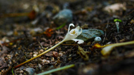 back to the groundの写真素材