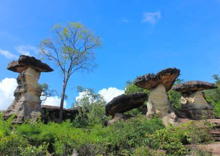 natural weatheringの写真素材