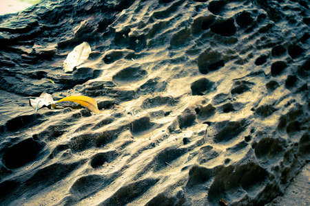 dry out logの写真素材