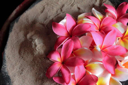 flowered ashtrayの写真素材