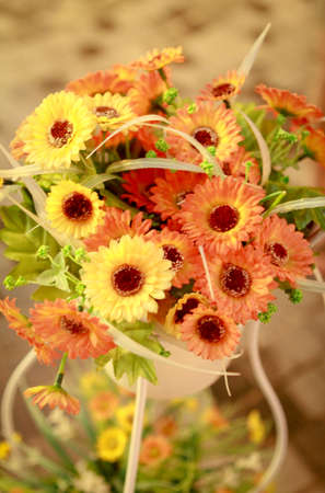 bouquet of daisyの写真素材