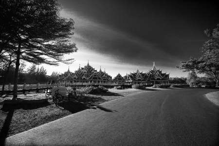road to the palaceの写真素材
