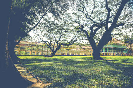 shadow of the gardenの写真素材