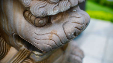 eye of chineese lionの写真素材