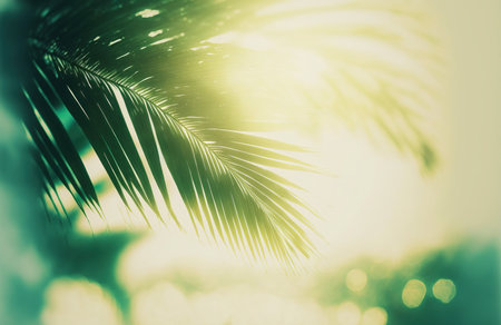 Beautiful palm tree leaf on the blurred nature background with bokeh lightの写真素材