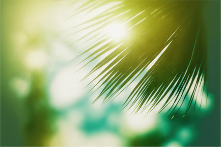 Tropical background with palm leaves and sun rays.の写真素材