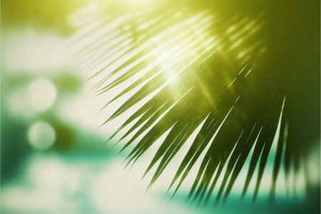 Palm leaf and bokeh background. Summer and holiday conceptの写真素材