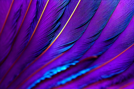 Macro shot of bird feathers in blue and purple tones. Beautiful background.の素材