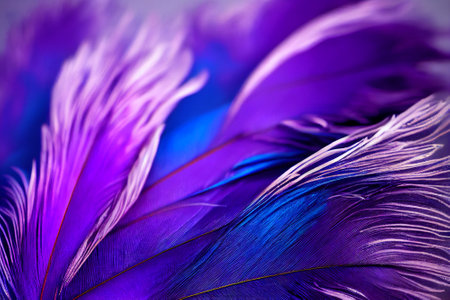 Beautiful feathers of a bird on a purple background. Macro photoの素材