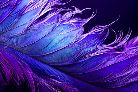 Beautiful color feathers on black background, feather texture on dark patternの素材
