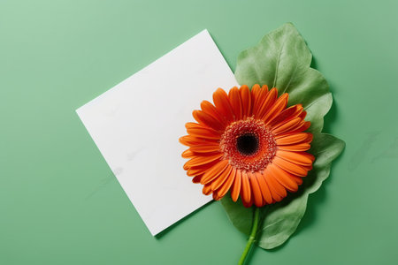 Orange gerbera flower and white card on green background with copy spaceの素材